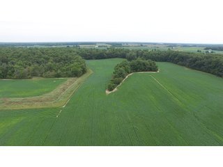 Property photo 7 - LAND AUCTION - 89.5+/- ACRES IN 3 TRACTS IN WILLIAMS COUNTY, OHIO
